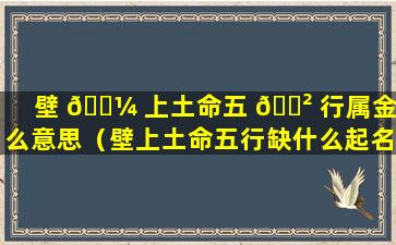 壁 🌼 上土命五 🌲 行属金什么意思（壁上土命五行缺什么起名字带什么）